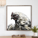 Search for country chicken posters Chickens