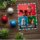 Search for funny photo christmas cards Dog