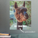 Search for alpaca gifts Fluffy