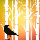 Search for birch tree tshirts Forest