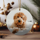 Search for pet christmas tree decorations funny