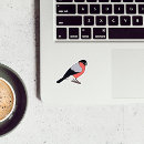 Search for bullfinch stickers Bird