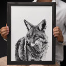 Search for coyotes posters Watercolor