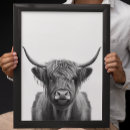Search for cow head art Animal