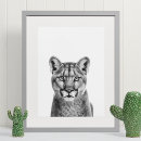 Search for big cat posters Animal