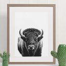 Search for digital bison Buffalo