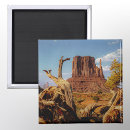 Search for monument valley magnets Southwest