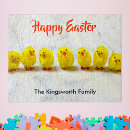 Search for easter puzzles Chicken