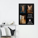 Search for memorial cats posters Remembrance
