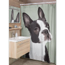Search for boston terrier shower curtains Animals