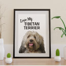 Search for large breed posters Dogs