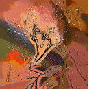 Search for hawk puzzles Animal