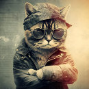 Search for leather puzzles Photography