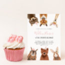 Search for owl 1st birthday invitations Pink