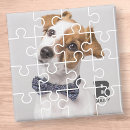 Search for puzzle magnets Modern