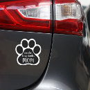 Search for dog magnets cute