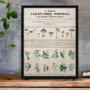 Search for poisonous plants posters Vintage