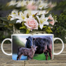 Search for angus cow mugs Cattle