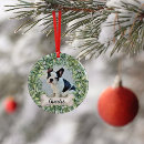 Search for dog bone christmas tree decorations Watercolor