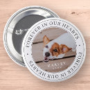 Search for dog memorial badges In loving memory