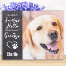 Search for hello pet supplies In loving memory