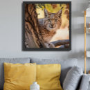 Search for wildlife photography posters Wildcat