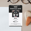 Search for service dog id badges Simple