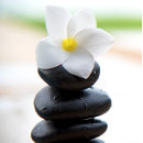 Search for balancing photography Meditation