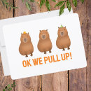 Search for pull cards Cute