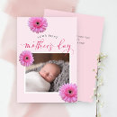 Search for daisy mothers day cards Pink