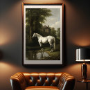 Search for white horses posters Equine