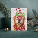 Search for scarf christmas cards Pet