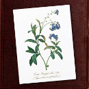 Search for forget postcards Retro