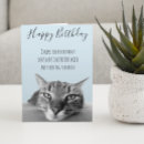 Search for cat greeting Birthday