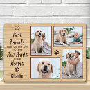 Search for pet memorials Photo collage