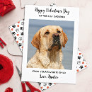 Search for dad valentines day cards Dog lover