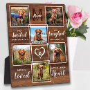 Search for unique pet memorials Photo collage