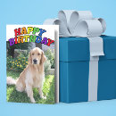 Search for golden retriever cards Adorable