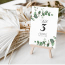 Search for eucalyptus foliage wedding invitations Modern