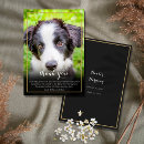 Search for announcing death of dog Condolence