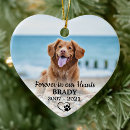 Search for loss pet memorial ornaments In loving memory