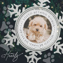 Search for pet supplies In loving memory