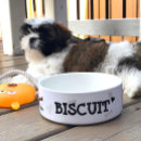 Search for dog supplies Bone