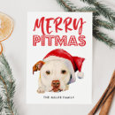 Search for funny pitbull christmas cards Cute