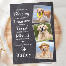Search for pet memorial cards Photo collage