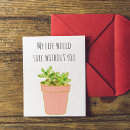 Search for life without cards Succulent