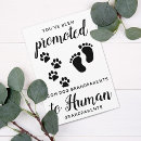 Search for were invitations Baby reveal