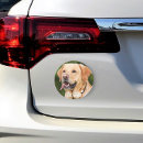 Search for cat bumper stickers pet