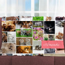 Search for cute kittens blankets For her