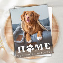Search for funny prints postcards Dog